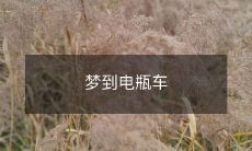 今夜我梦到骑着电瓶车穿越城市街区，感受着微风吹拂，身心愉悦的奇妙之旅