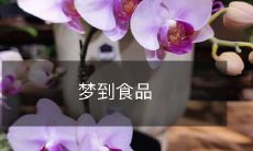 梦到美味食品，随着食谱的逐渐揭秘，探索梦境中无尽的美食世界