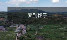 在梦中看到了鞭子的场景,脑海里隐现着各种可能性和暗示,引发思考和想象的一种梦境体验