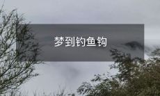 被缠绕在钓线上的黑色梦境：我梦到了一把沉重的钓鱼钩，无情地缠绕在我的线上