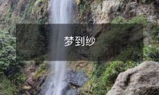 梦见自己穿着飘逸纱裙,在美丽的花园中漫步的梦境体验