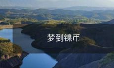 在梦中看到闪闪发光的镍币：一场意味深长的梦或是不寻常的灵感来源？