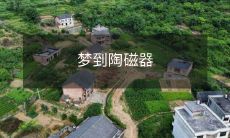 展览中令人神往的珍贵陶瓷作品,让我感受到了深刻的文化内涵和艺术魅力!