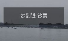 如何解释在梦中看到大量钞票和金钱的含义及象征？