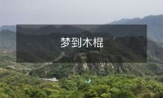 在梦中遇见一根木棍,并对它的形态、颜色、材质以及意义进行深入的思考和探讨