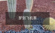 购买计划实现失败，不再逃避：在梦中购买的飞机票，醒来后发现无法使用，唤醒现实的决心与勇气