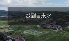 供应商送水，醒来却发现家里竟无一滴水——一个担忧与警醒的梦境