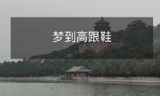 穿在脚上走路，摸索着人生的迷茫与坎坷：一个梦境中的高跟鞋故事