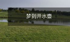 在梦中，我看到了自己正在烧水，沸腾的水气和冒着的汽雾，以及那真实的感觉，仿佛我正在现实中操作一样