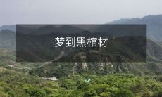 的意义是什么？从神秘学和心理分析角度探讨梦境中的黑棺材象征及其可能的象征意义