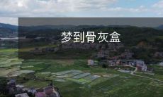 在梦中意外发现自己困在一个充满骨灰盒的环境中