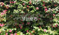 在梦中体验磨石的夹杂艰辛与净化生命的感觉