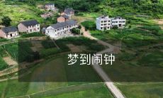 响了却仍然置身梦境中：怎样从梦中醒来并掌控自己的时间？