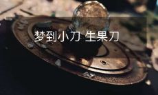 在梦中穿越小刀和生果刀的奇妙世界