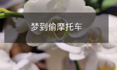 在梦境中偷走摩托车的奇幻经历:探讨潜意识中的欲望与冒险精神