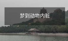 经历了梦境中惊险曲折的旅程，竟然神奇地发现自己置身于动物的内脏之中