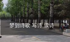 梦里走过诗歌世界:写诗,读诗,沉浸在句句经典之中