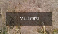 暖心场景，如梦如幻，一位友善老人和善良店员的故事：女性客人梦到剪钮扣，意外遇见热情、细心、友善的老人和店员，成为美好故事中的主角