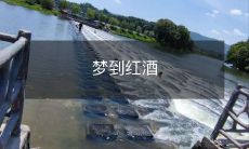 做梦之旅：沉醉于红酒的香气，穿越时空的幻想之旅！