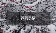 我在睡梦中意外梦到手稿,让我惊喜不已!