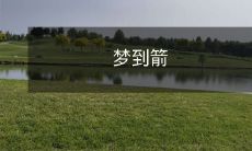 头、蓝天和绿地之间的小径:我的旅程与“梦到箭头”的意义探索