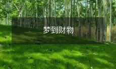 丰裕无比！不可思议的梦中财物带来无尽财富和幸福！