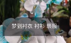 做梦穿戴衬衣、衬衫或亵服:解析你潜意识中的衣着象征和情感寓意