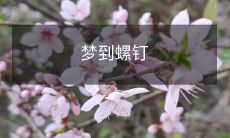 在梦境中遇见诡异的螺钉,唤起无尽探索与思考的不眠之夜