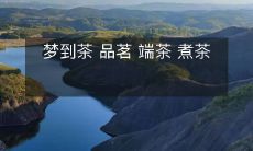 细品茶香,梦里品茗,把茶端上桌,煮着茶水泡出好味道