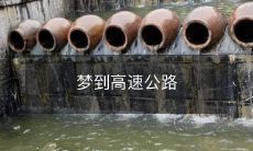 在梦中奔驰于连绵不断的高速公路上，感受到速度与自由的并存体验