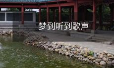 在梦中倾听美妙歌声:梦境中的音乐之旅