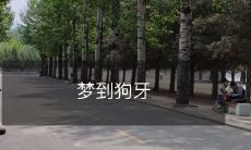 在梦中看到被树叶覆盖的，虚弱的狗牙，感到焦虑和悲伤的描述