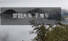 从梦境中寻找启示：探讨在梦中出现的大型机动车与手推车之间的象征意义