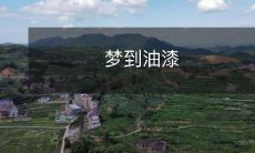 工人在墙上涂抹油漆的梦境：如何解读和分析？