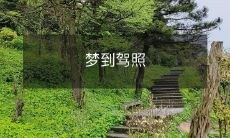 考试时没穿衣服，慌张逃跑，竟然通过了？！感悟梦境中的人生启示