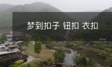 在梦中见到扣子、钮扣或衣扣的意义及可能的象征意义是什么？
