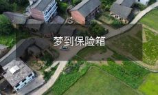 里的宝藏:一个令人兴奋的梦境体验