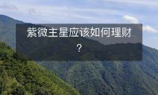 紫微主星理财指南:如何在职场中最大程度地利用自身优势进行财务规划?