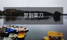 在梦中看到了菜刀，它的形状和质感一览无余带给我深深的印象与留恋