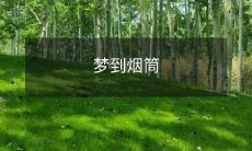 躺在阴霾笼罩下的城市里,做梦时意外遇见了庞大的烟筒,感受着它散发出的浓烟和强烈的气味