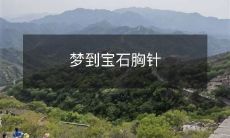 一个美丽的梦:在梦中闪耀的宝石胸针,令人心醉神迷!