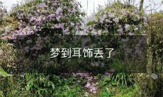 我做了个梦,梦见自己的耳饰丢失了,让我感到十分不安