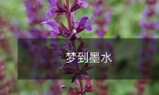 如何解读梦境中出现的墨水,墨水象征的含义及如何从梦中获得智慧启示?