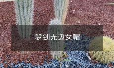 梦中出现的无边女帽：究竟暗示着什么深意？