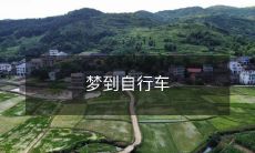 我梦见在一条安静的街区上骑着自行车，迎着微风穿梭于花园和公园之间的美好体验