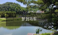 梦见自己坐在华丽的马车上,穿越时空体验奢华与神秘的奇妙之旅