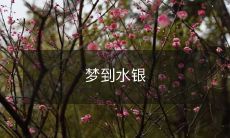 梦中蒙蔽的幻象:我沉溺在银水中,一切都变得模糊而混乱