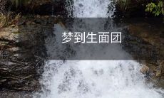 变成了一顿丰盛的美食，令人垂涎欲滴的令人惊叹的梦幻盛宴！