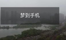 丢失并重返现实：我在梦中遗失了手机，难以启动现实的无声示警