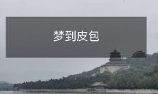 被偷了的我，醒来才发现那只不安分的爱犬居然真的藏了一只皮包，让我经历了一场莫名其妙的梦境！